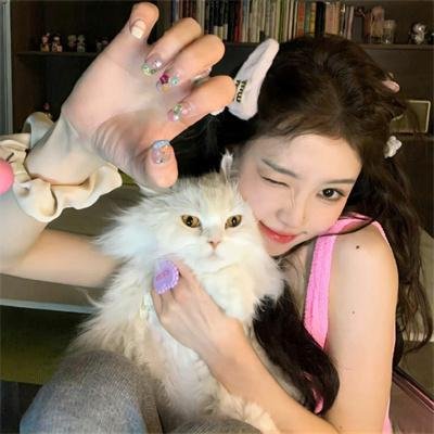 加菲猫的幸福生活第三季 海报